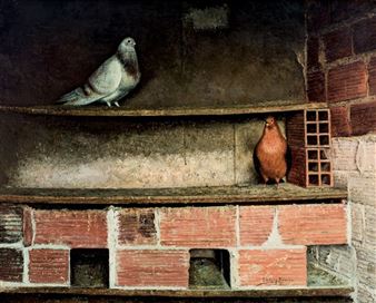 Palomar improvisado - Eugenio Lopez Berron