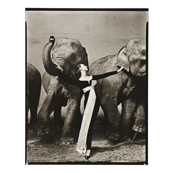 Dovima With Elephants, Evening Dress By Dior, Cirque D'hiver, Paris by Richard Avedon, 1955