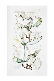 Memory Meets Metamorphosis