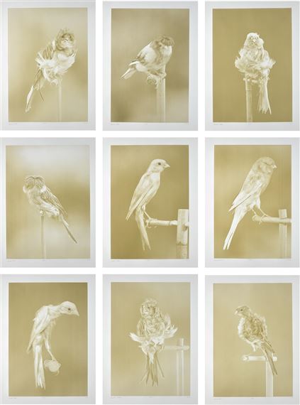 Canaries by Carsten Höller, 2009