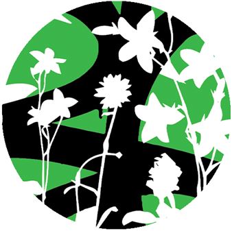 JM Rizzi: The Four Seasons - Woodward Gallery