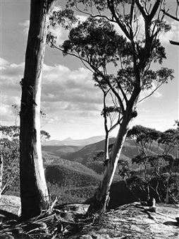 Northern Blue Mountains - Henry Gold