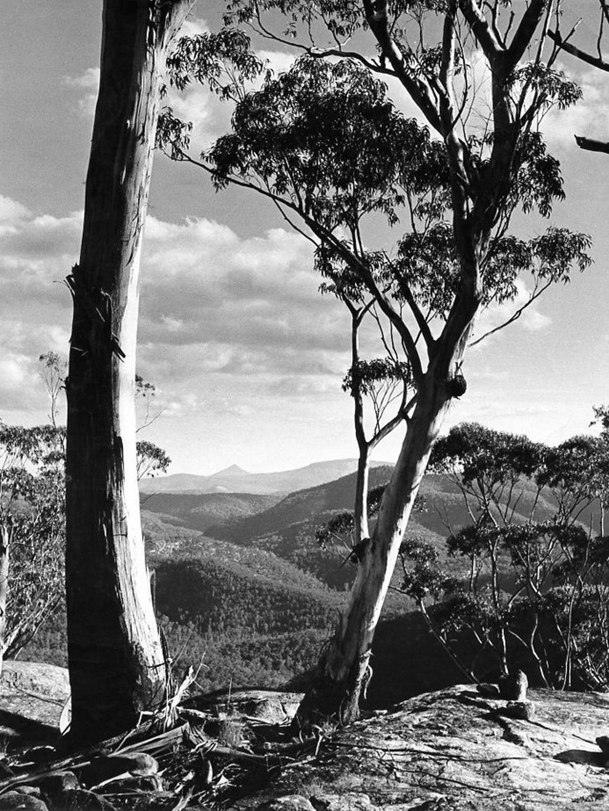 Henry Gold Northern Blue Mountains (1978) MutualArt