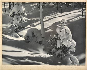 130 works: subjects including landscapes, some portraits and genre subjects - Frederick W. Ferguson