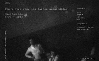 Miguel Ángel Rojas: Una y otra vez, las tardes suspendidas, 1973 – 1983 - Galeria Casas Riegner