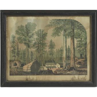 The Mammoth Trees of California - G.k. Stillman & Co. Cincinnati
