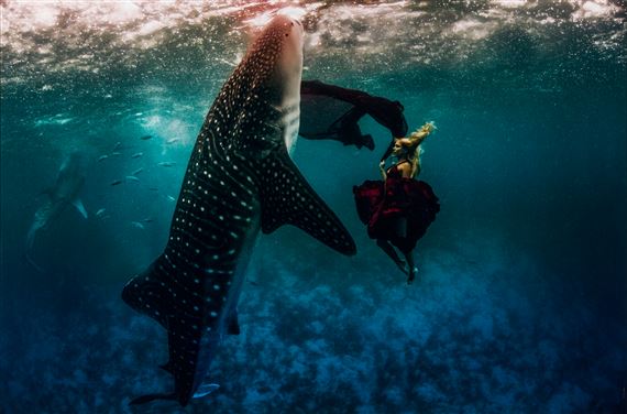 Modell med valhaj - Kristian Smidt