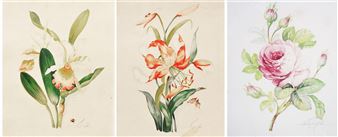 Lilies & Camelias - Vittorio Guidotti