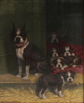 A Boston Terrier and Her Puppies - Harry Lyman
