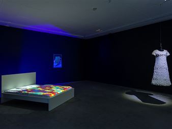 Zzzzz: Sleep, Somnambulism, Madness - MAMA, Murray Art Museum Albury