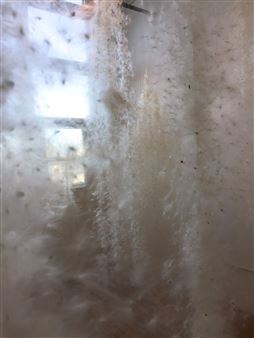 Esther Solondz: Floating Between Two Worlds - Fruitlands Museum