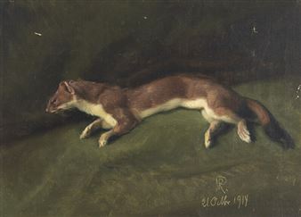 Hermelin - Niels Peter Rasmussen