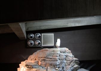 Martin Schwenk - Galerie M + R Fricke