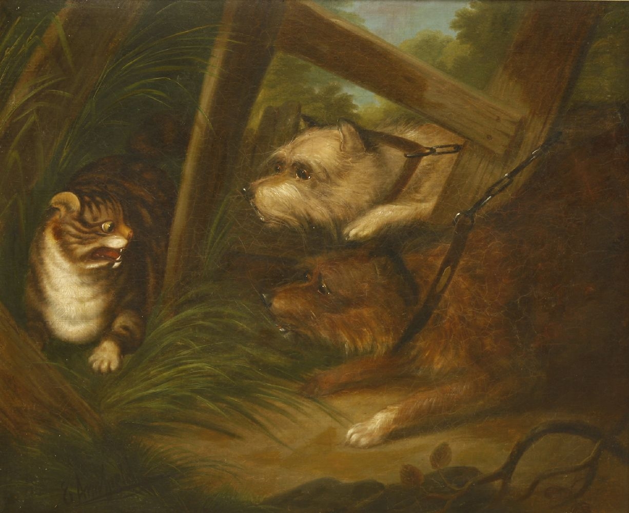 Artwork by Edward Armfield, Two Terriers Scaring a Cat, Made of Oil on canvas
