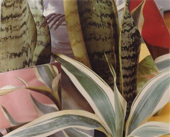 Jan Groover: Vintage Kitchen Still Lifes - Janet Borden Inc.