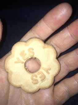 Maddie Reyna: YES - Julius Caesar