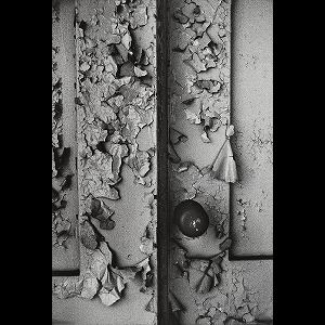 1·9·4·7 Miyako Ishiuchi Ishiuchi Miyako 1·9·4·7Art Blart _ art and cultural memory