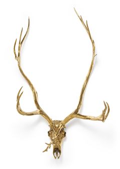 Caribou Skull - Sherrie Levine