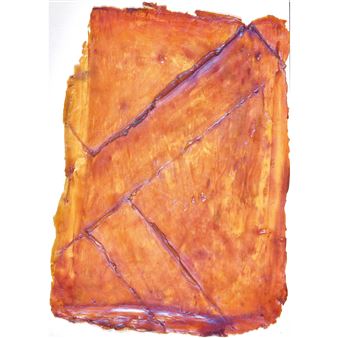 Ohne Titel - Heidi Bucher