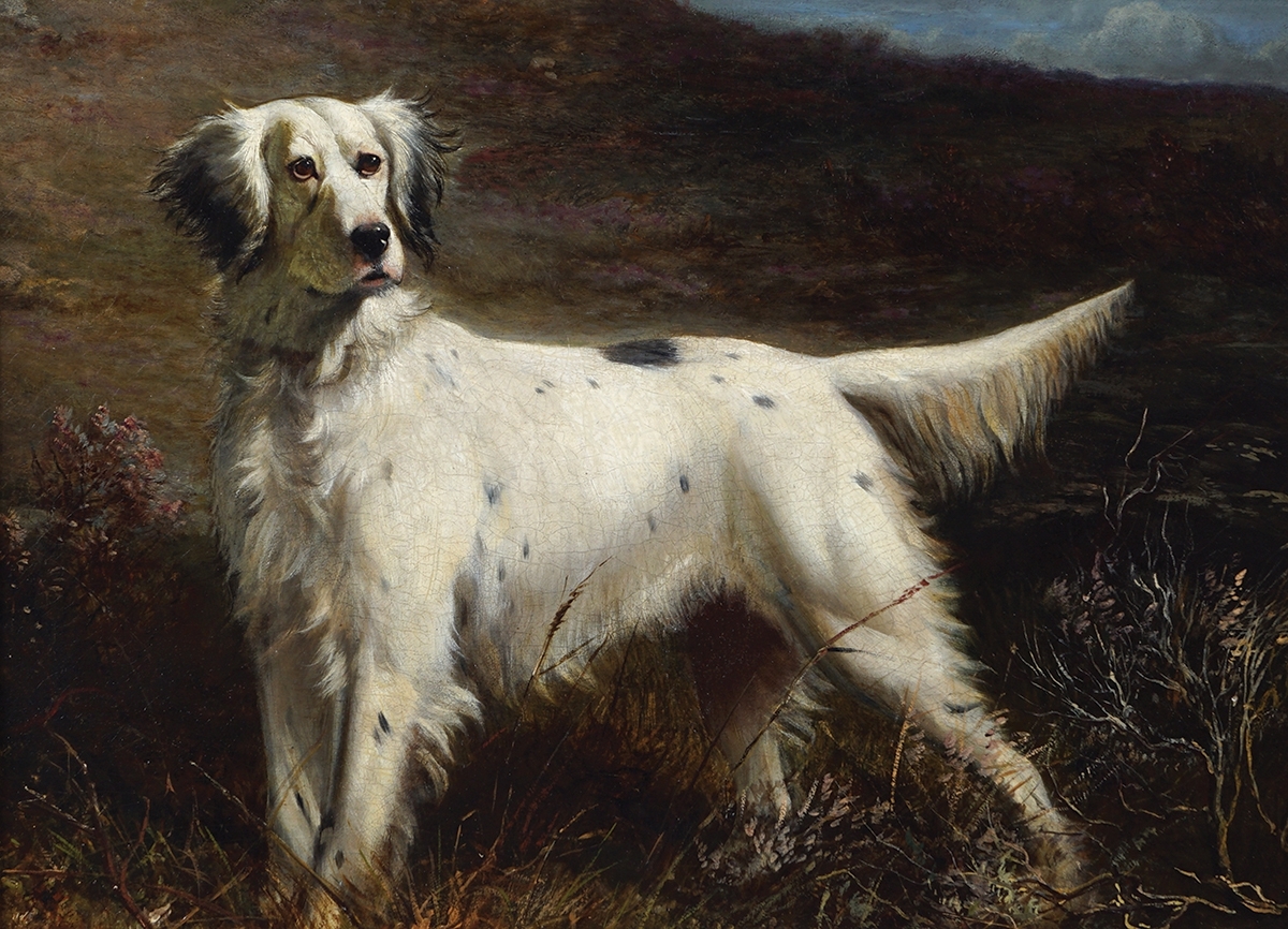 Thomas Blinks | English Setter (1853 - 1910) | MutualArt