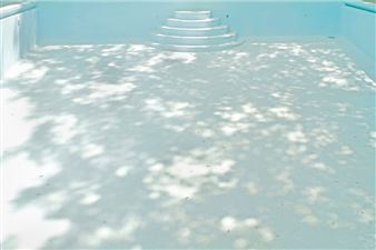 Spring 2019 - Wasserman Projects