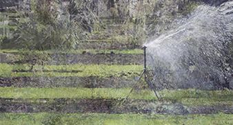 Eileen Hogan: Personal Geographies - Yale Center for British Art