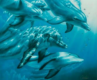 Christian Riese Lassen | Dolphin Symphony | MutualArt