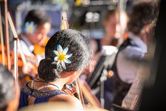 Tracy Sexton: Virtuoso Strings. O Matou Malaga. Our Voyage - Pataka Art + Museum