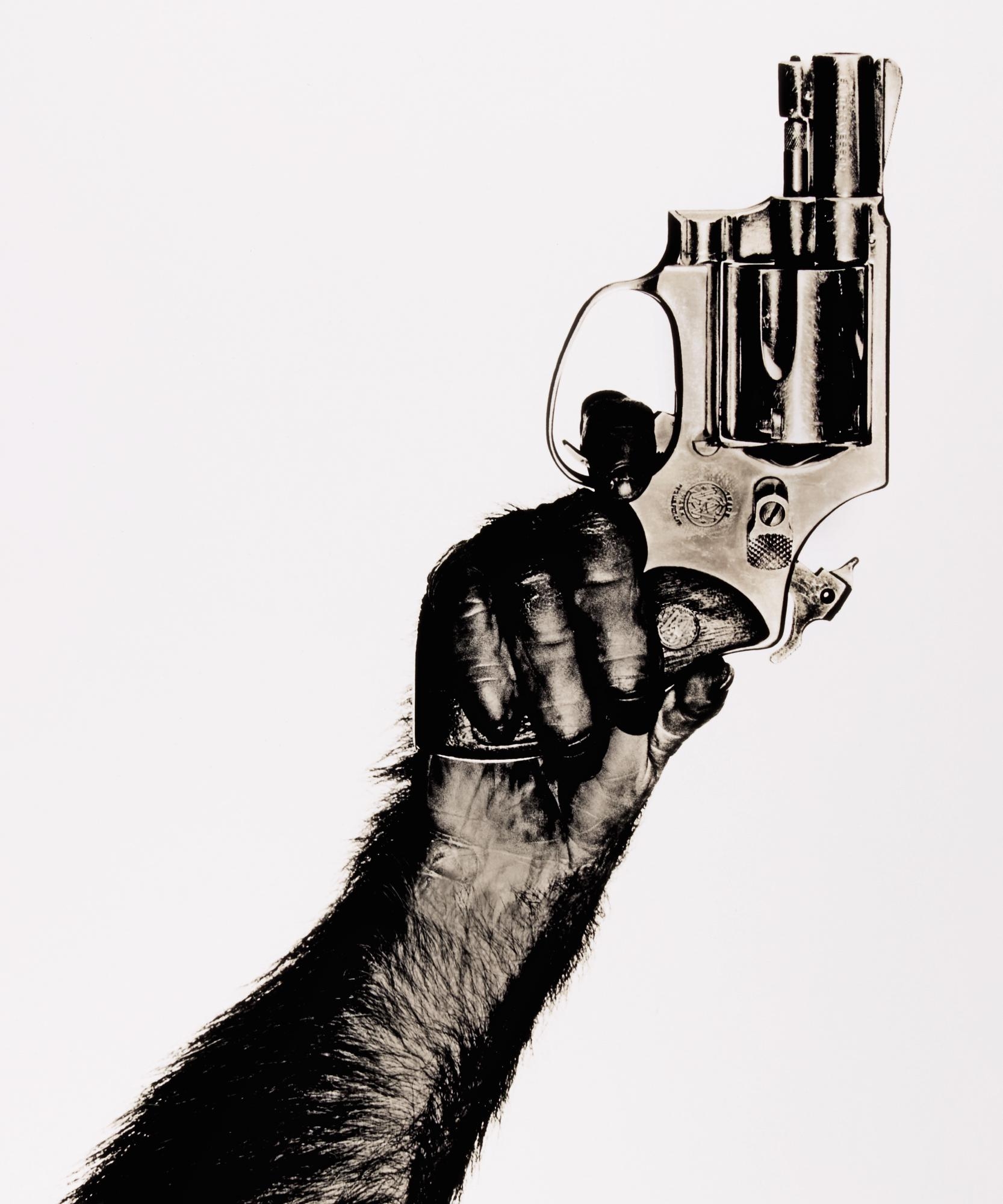 Artwork by Albert Watson, MONKEY WITH GUN, Made of Silver print