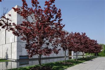 British and French Photographs Taken from 1840s Through 1880s on Display at Barnes Foundation