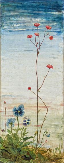 Pansies / Saxifraga and Viola Tricolor by Franz Radziwill, 1930