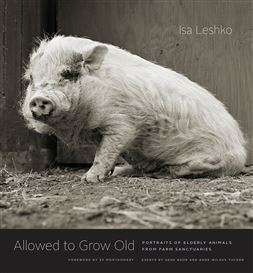 Isa Leshko Book Signing! Saturday, May 4, 4-6 Pm