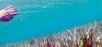 The Same River Twice: Contemporary Art in Athens - Benaki Museum, 138 Pireos St