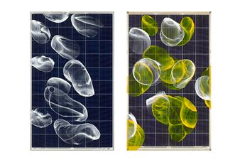 Paddle8 Is Auctioning Solar Panel Artworks to Stimulate Sustainability