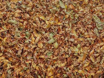 Artist Spotlight: Painting the Ordinary