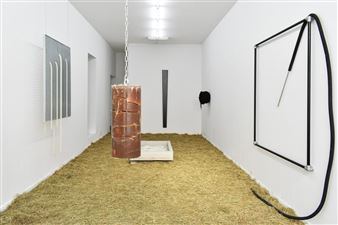 Jan Bokma: Light for cows - Cinnnamon