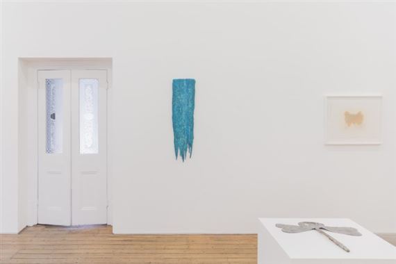 Heidi Bucher: Die Wässer und Libellenlust - The Approach