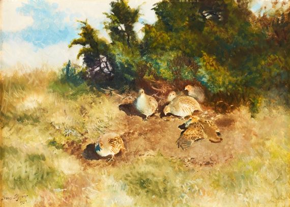 Rapphöns som solar sig by Bruno Liljefors, 1922