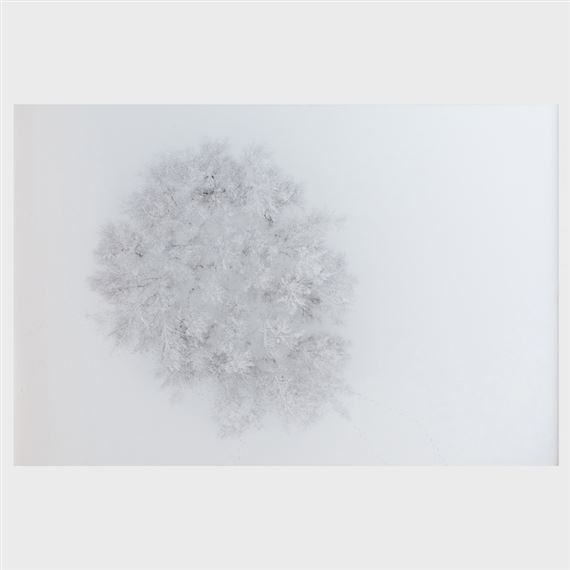 Seasons/Winter #01 by Kacper Kowalski, 2013