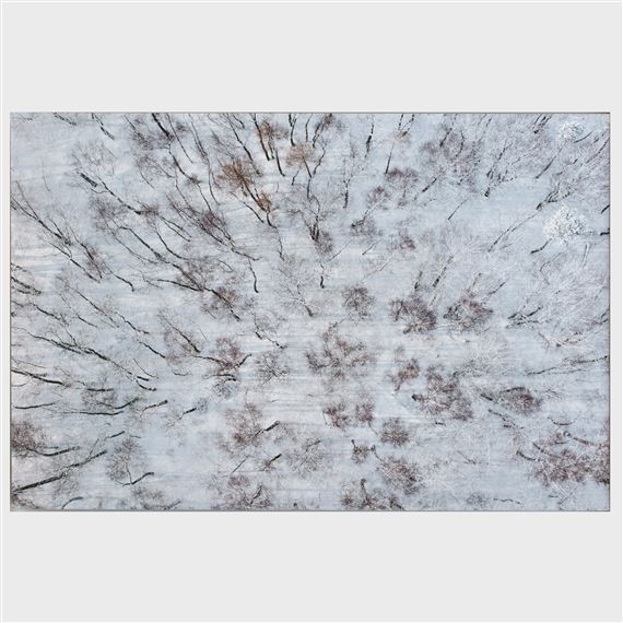 Seasons/Winter #02 by Kacper Kowalski, 2013