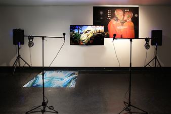 Dallas Museum of Art Presents Its 2019 Awards to Artists