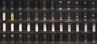 Ohne Titel - Peter Dreher