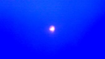 Brian Fridge - James Cope