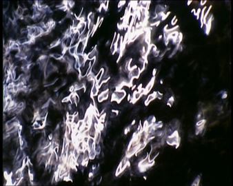 Visible Invisible (Animal Light) - Fundació Joan Miró