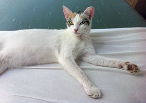 Metaphyse - Kjubh Kunstverein
