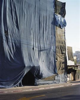 Youval Hai: Rubber Fig - Indie Gallery