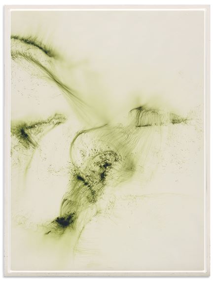 洋書 Wolfgang Tillmans Freischwimmer Wolfgang Tillmans Germany Freischwimmer 230 (Free Swimmer