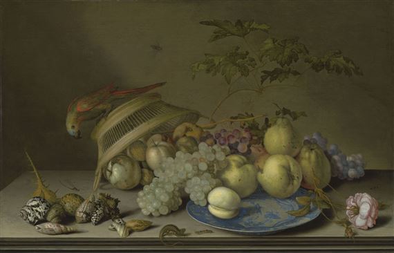Fruit on a porcelain platter, with apples, a rose, shells, insects and a lizard on a stone ledge, with a parrot on an upturned basket by Balthasar van der Ast