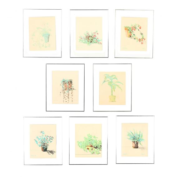 8 Works: House Plants by Maud Gatewood, 1976-1977