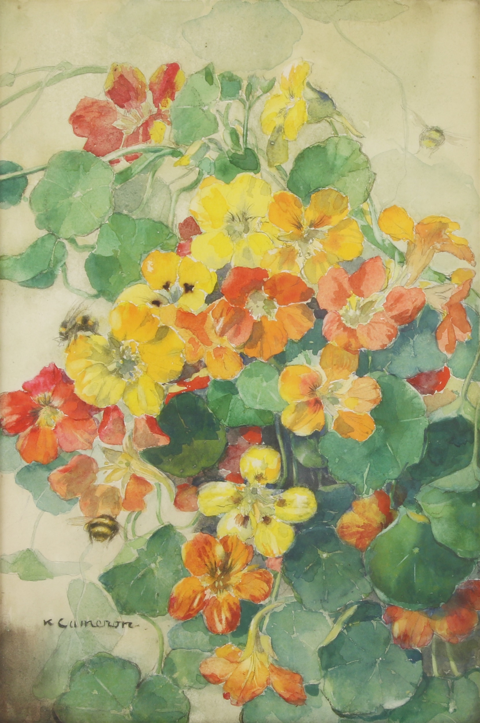 Katherine Cameron NASTURTIUMS AND WILD BEES MutualArt